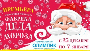 Новогоднее шоу-спектакль
