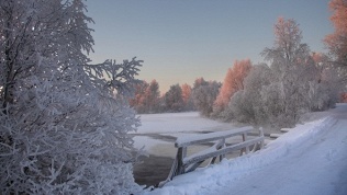 Тур в Карелию «Водопады, уха, хаски, „Гора Филина“» от Karelia-Line