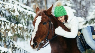 Конные прогулки от семейного конноспортивного клуба «Тандем»