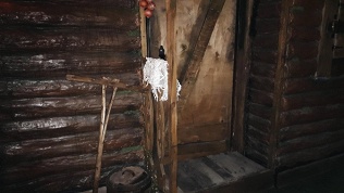 Участие в квесте
