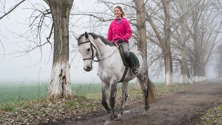Конная прогулка или прогулка на пони в конюшне «Гвардия»