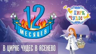 Билет на новогоднее шоу