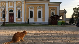 Тур по городам России