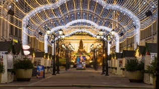 Экскурсия «Ёлки в городе» от туристической компании «Паритет Плюс»