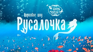 Билет на цирковое шоу