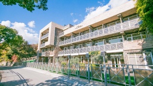 Отель Villa Oliva-Art