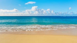 Летний отдых в Приморском крае на базе отдыха Mia