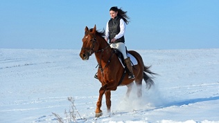 Конная прогулка