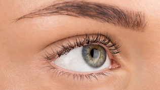 Окрашивание и ламинирование ресниц и бровей в студии красоты Annibrows