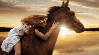 1 или 2 часа конных прогулок в конном клубе «Стелла»