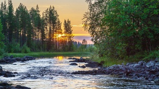 Тур в Карелию