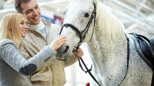 Конная прогулка для взрослых и прогулка на пони для детей в клубе «Стелла»