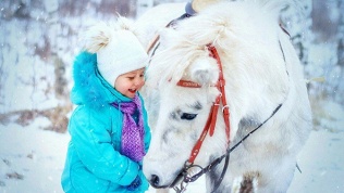 Прогулка на лошадях