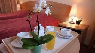 Отель Polo Regatta Hotel