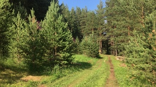База отдыха «Зеленый мыс»