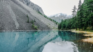 Усадьба «Звезда Алтая»