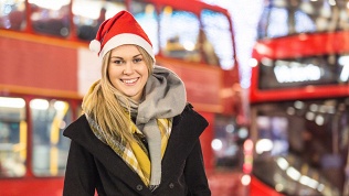 Билет на экскурсию «По местам исполнения новогодних желаний»