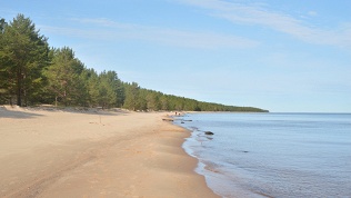 Экскурсия «Куршская коса, Зеленоградск» от компании «Янтарный Кенигсберг»