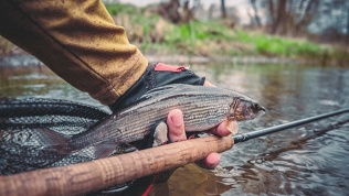 Отдых с рыбалкой в селе Маково в гостевом доме «База 33»
