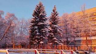 Гостиница «Репинская»