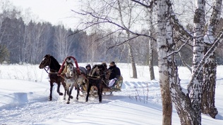 Отдых с проживанием, питанием и развлечениями на базе отдыха «Русский дом»