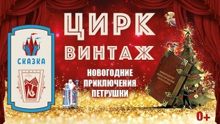 Билет на цирковое шоу