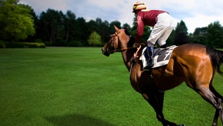 Отдых с экскурсией от конного клуба «Герой»