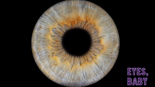 Фото радужки глаз