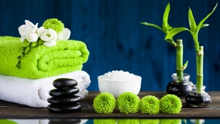 SPA-программа