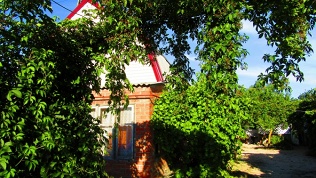 Country House on Chapaeva