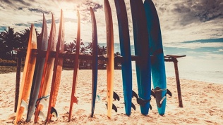 1 или 2 часа прогулки на SUP-борде от компании Roostersup