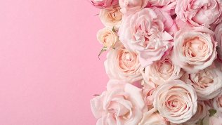 Букеты из роз, гипсофил, ромашек, протей, хризантем или гортензий