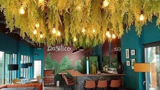 Меню и напитки в кафе Basilico за полцены