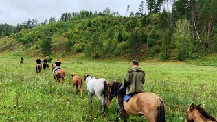 Конная прогулка