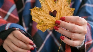 Маникюр и педикюр с покрытием гель-лаком в салоне O'RegiNail.Ufa