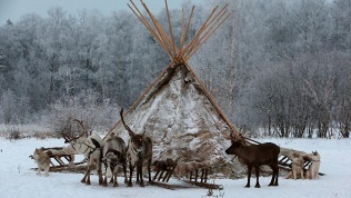Детский квест