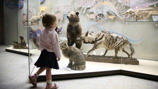 Комбобилет на посещение выставки «Дикая Африка»