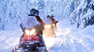 60 минут прогулки на снегоходе от экопарка DreamHouse Village