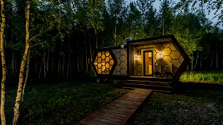 Экоотдых с баней, чаном и завтраком в сосновом бору в глэмпинге Honey Day
