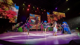 Билет на музыкально-цирковое шоу «Волшебная лампа» от «Романов шоу»