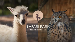 Билет в сафари-парк с экскурсионной программой от экоотеля «Изумрудный лес»