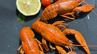 Живые и вареные раки от раковарни Raki Time за полцены