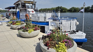 Речная прогулка по музею-заповеднику Коломенское от компании «Речфлот»