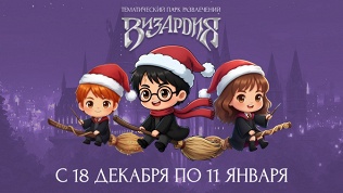 Посещение иммерсивного новогоднего шоу от парка развлечений «Визардия»
