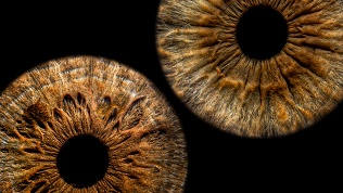 Фото радужки глаза