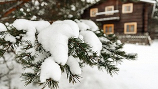 Новогодний отдых с развлекательной программой в эко-отеле «Киногородок»