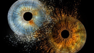 Фотографии радужек глаз в рамке