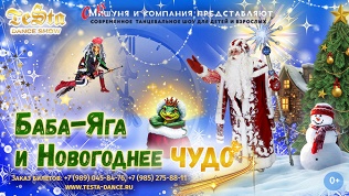 Билет на новогоднее шоу от компании Testa Dance Show 