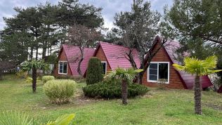 Отдых у моря в окружении реликтового леса на базе отдыха «Лунная поляна»