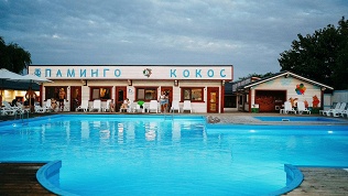 Посещение аквазоны с подогреваемым бассейном в «Фламинго & Кокос»